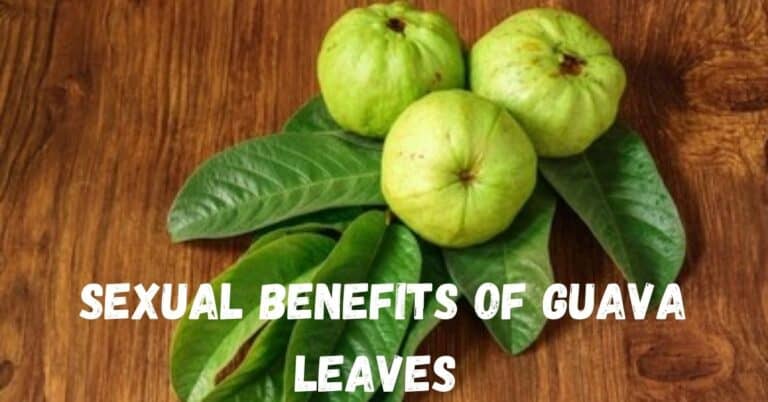 Unpopular Sexual Benefits of Guava Leaves