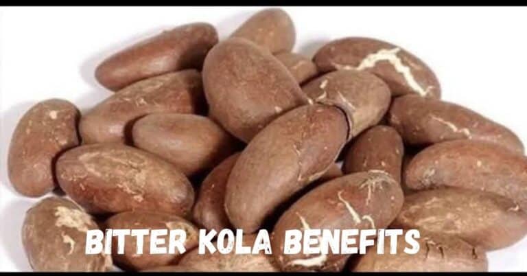 Sexual and Health Benefits of Bitter Kola