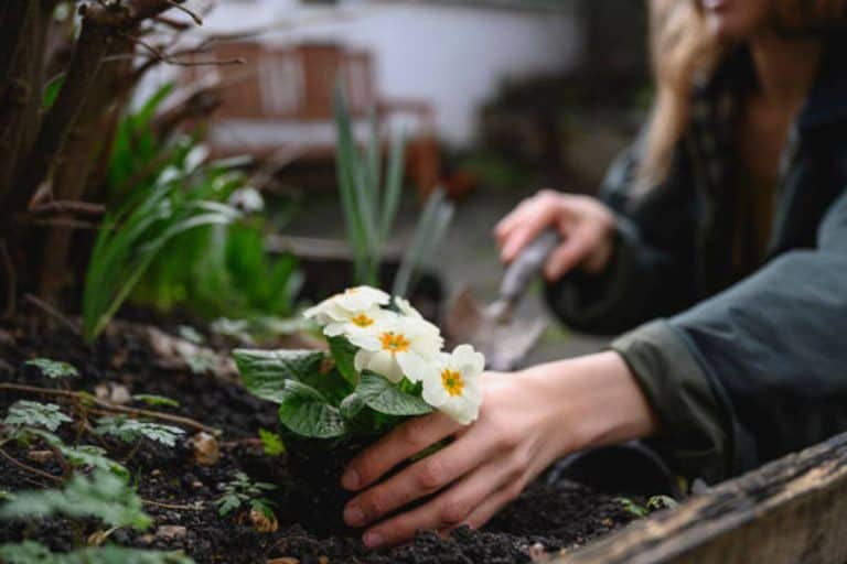 Recruitment for Gardeners in the United Kingdom
