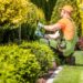 Multiple Gardener Jobs in Germany - Apply Now