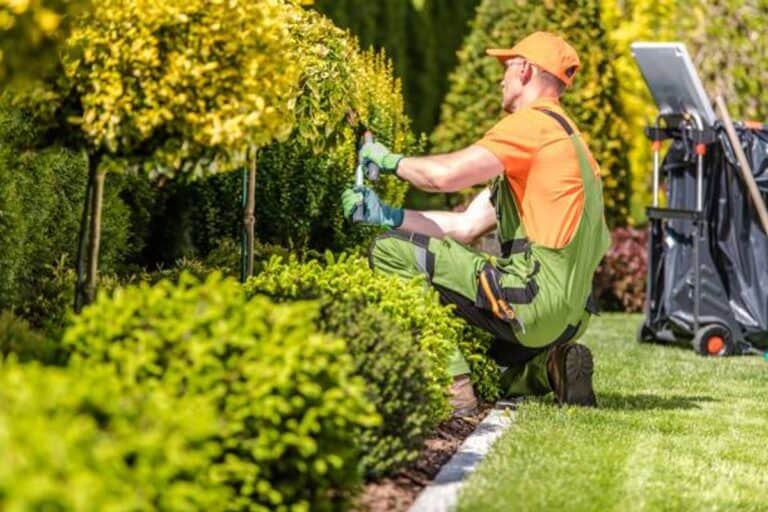 Multiple Gardener Jobs in Germany – Apply Now