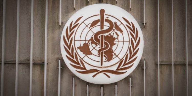 Career Opportunities in the World Health Organization
