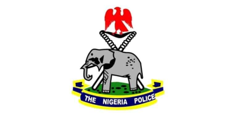 Nigerian Police Force Ranks and Symbols