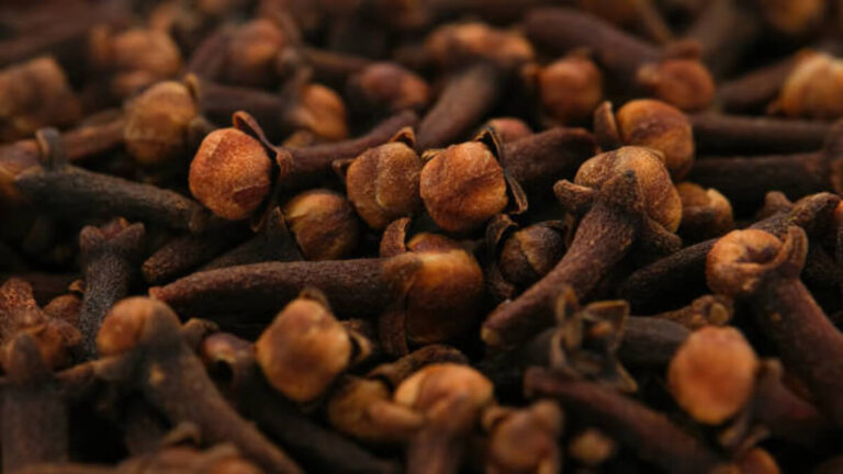 The Sexual and Health Benefits of Cloves
