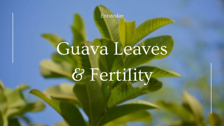 How Guava Leaves Boost Fertility