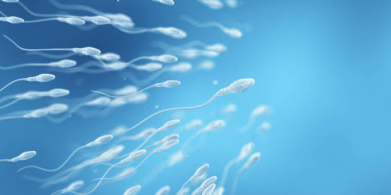 Watery Sperm: What You Need to Know
