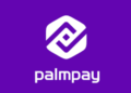 How to Borrow Money from Palmpay