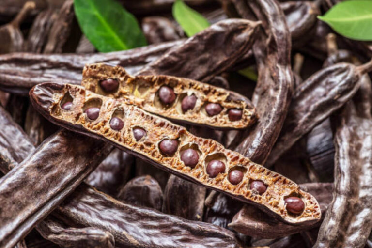 Benefits of Locust Beans