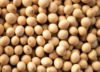 11 Health Benefits of Soybeans