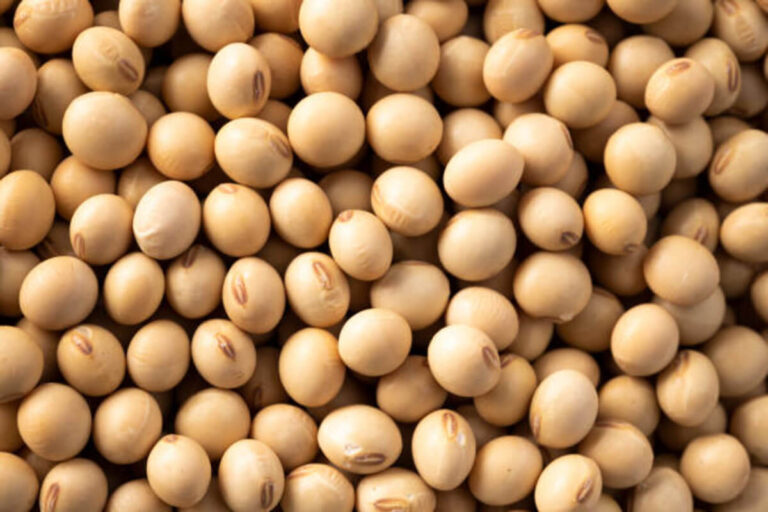 11 Health Benefits of Soybeans